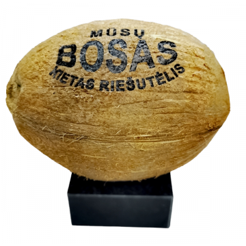 Kokoso riešutas su pageidaujamu tekstu ant akmeninio pagrindo